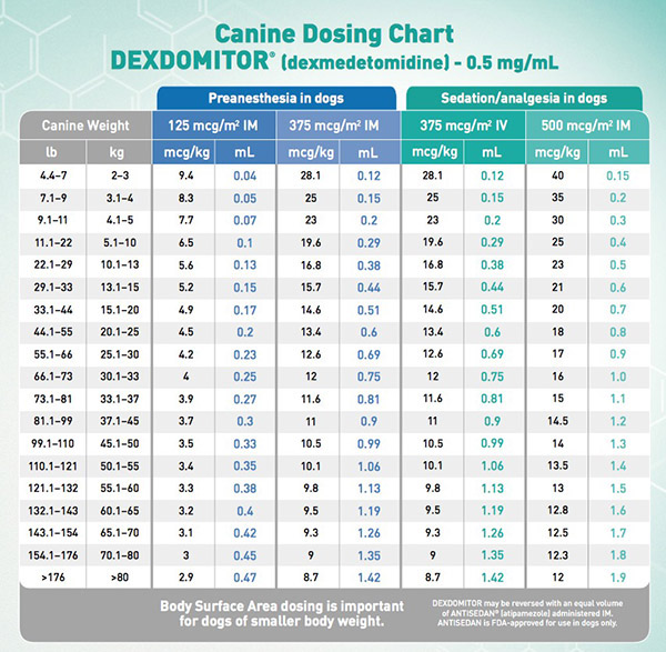 Dexmedetomidine Dose Chart